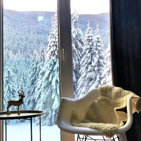 Premium In Ski Area